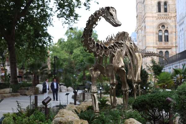 La princesa de Gales celebra la apertura de los jardines del Museo de Historia Natural - Viajes - ABC Color