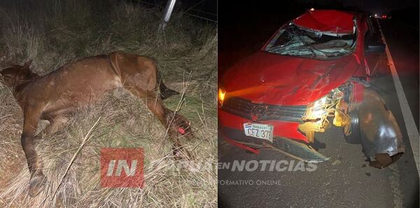 AUTOMÓVIL CHOCÓ CONTRA UN CABALLO EN JOSÉ L. OVIEDO - Itapúa Noticias