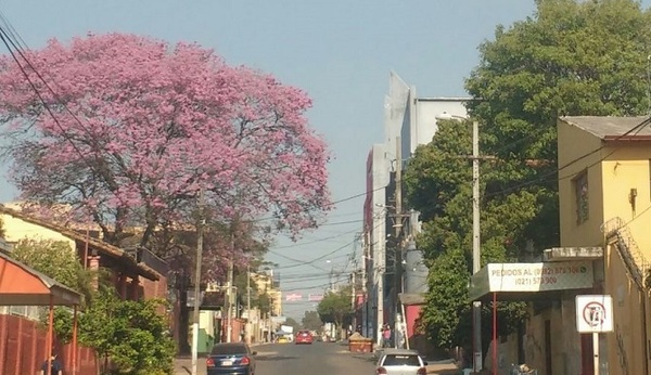 Clima cálido y despejado para el fin de semana