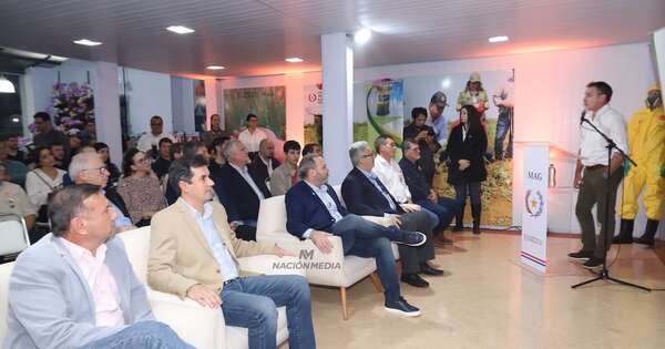 La Nación / Sector arrocero pide políticas públicas para consolidarse en los mercados