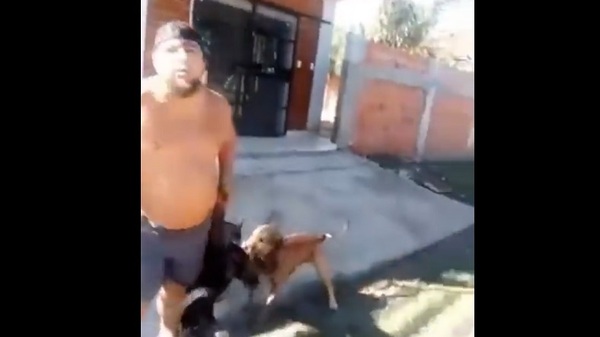 ¡Criminal! Un hombre degolló a un perro en Nanawa - Noticias Paraguay