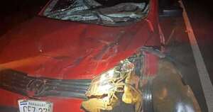 Diario HOY | Caballo suelto provoca aparatoso accidente en José Leandro Oviedo
