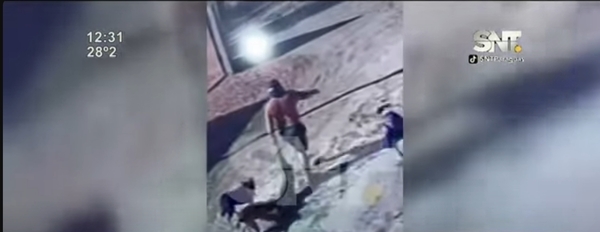 Perrito fue degollado por un hombre en Nanawa - SNT
