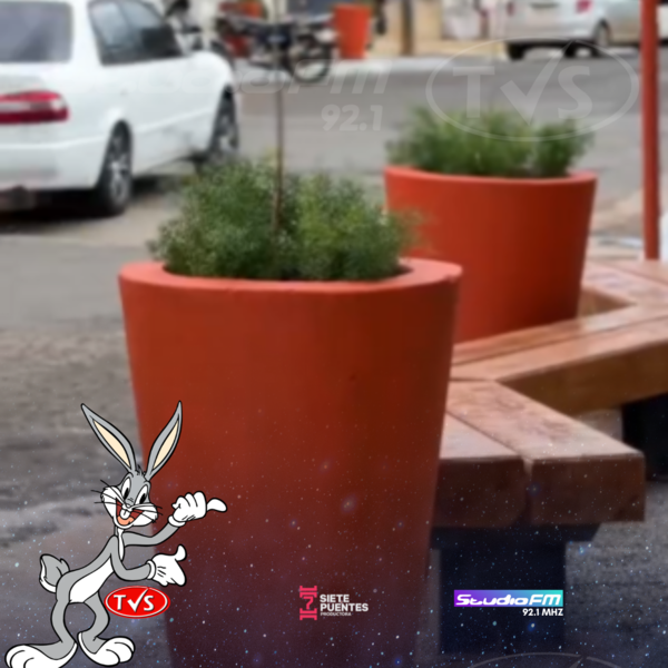 CONCEJALES DE ENCARNACIÓN DENUNCIAN DISCREPANCIAS EN INVERSIONES DE LA CALLE VILLARRICA - TVS