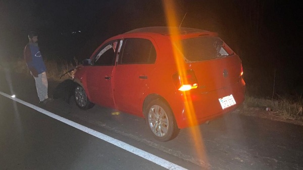 Itapúa: Animal suelto en la vía pública causó un accidente - Noticias Paraguay