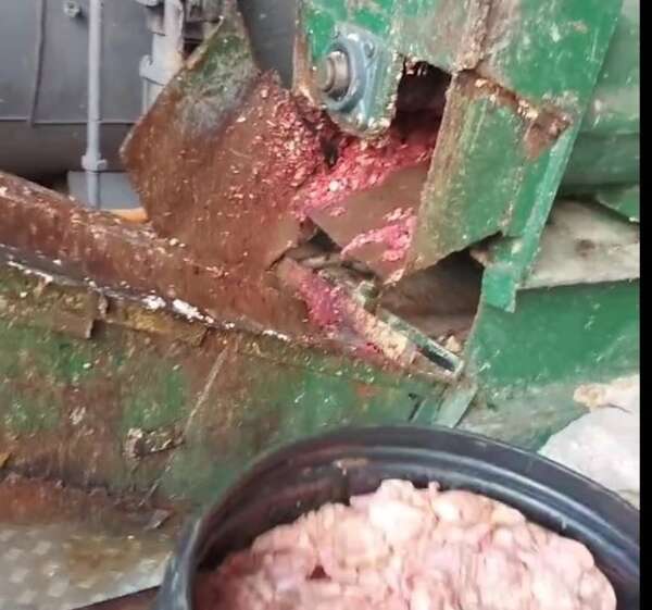 Cierre de frigoríficos en Tablada Nueva por insalubridad está en manos de “Nenecho” - Nacionales - ABC Color