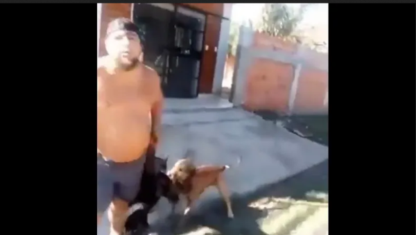 Celebran encarcelamiento de hombre que degolló a un perro - ADN Digital