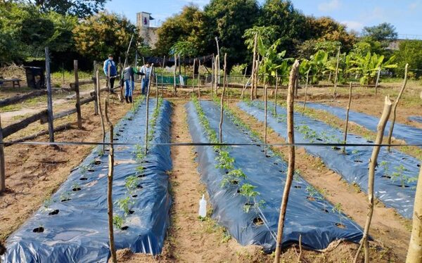 Granja penitenciaria Ita Porã permite a persona privada de libertad cultivar su reinserción social y laboral - ADN Digital
