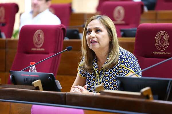 El derecho penal no debe juzgar la libre prensa, dice exdefensora pública - Política - ABC Color