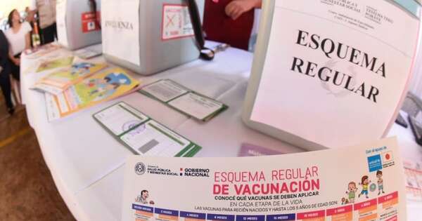 La Nación / Instan a vacunarse con dosis anuales contra la influenza