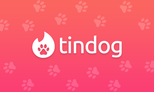 Crean app tipo Tinder para los perritos