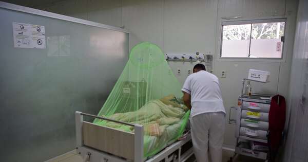 Diario HOY | Reportan descenso sostenido de casos e internados por dengue