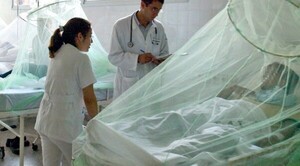 Descenso del 76% en casos confirmados de arbovirosis