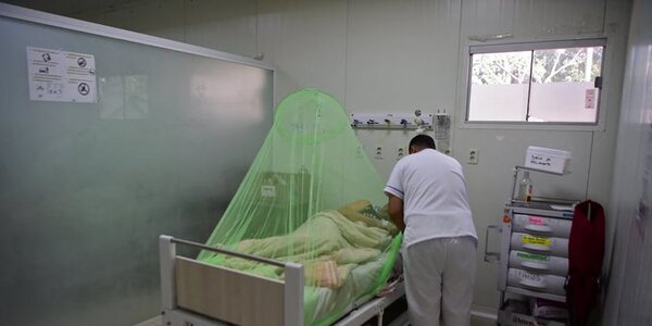 Reportan descenso sostenido de casos e internados por dengue