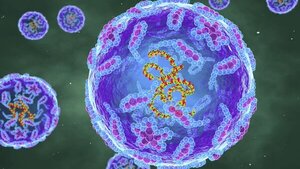 Detectan virus de la polio en aguas residuales en la Franja de Gaza