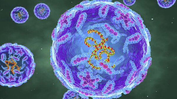 Detectan virus de la polio en aguas residuales en la Franja de Gaza