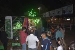 Fabricarán alimento con cannabis para complemento nutricional y tratamiento medicinal de animales - Economía - ABC Color