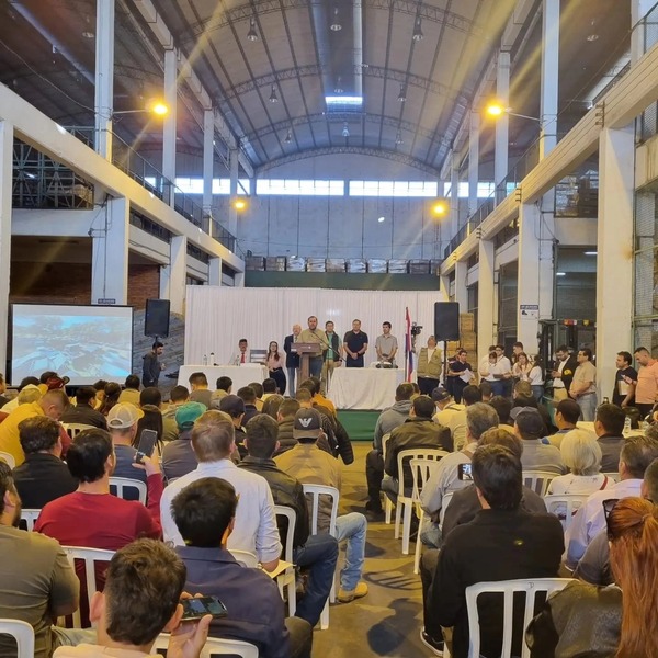 ANDE supera expectativas en subasta de vehículos en desuso - ADN Digital