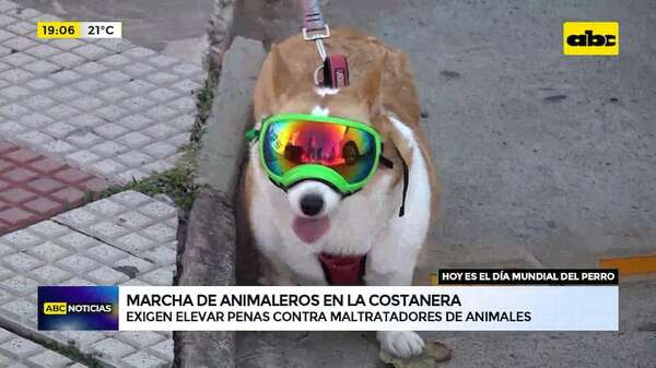 Marcha de animaleros en la Costanera: exigen elevar penas contra maltratadores de animales - ABC Noticias - ABC Color