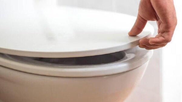 Vinculan frecuencia de irse de cuerpo con salud a largo plazo