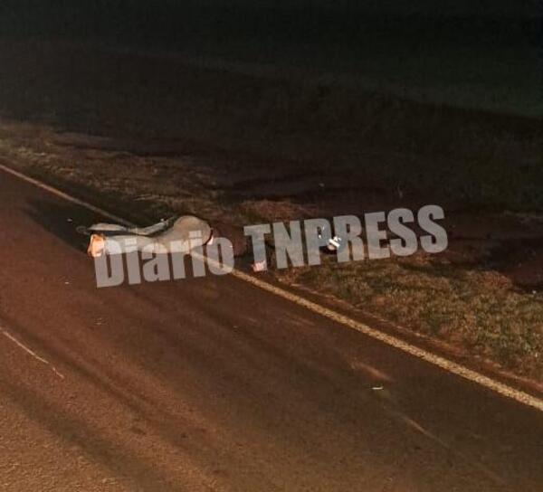 Una joven muere en accidente al producirse un choque entre motocicletas en Naranjal – Diario TNPRESS
