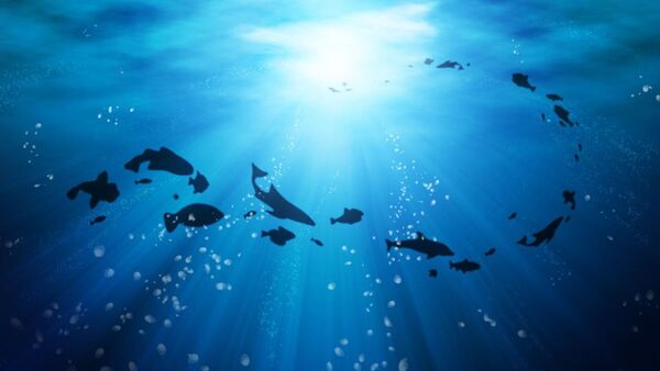 Un misterioso "oxígeno negro" producido en las profundidades del océano Pacífico