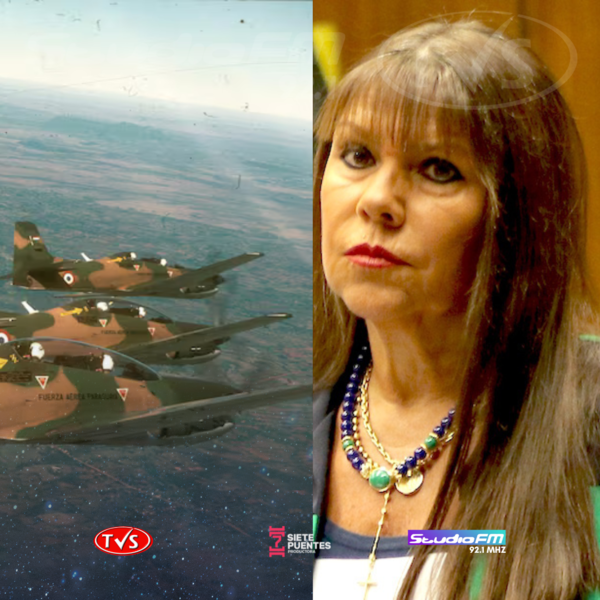 CELESTE AMARILLA CUESTIONA CONTRADICCIÓN DE ANR EN LA LEY DE DERRIBO DE AVIONES. - TVS
