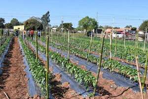 Capacitan a productores dentro del proyecto “Supermercado Familiar” - Nacionales - ABC Color