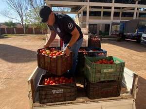 Camión que transportaba tomates presumiblemente de contrabando cae en Yby Yaú - Nacionales - ABC Color