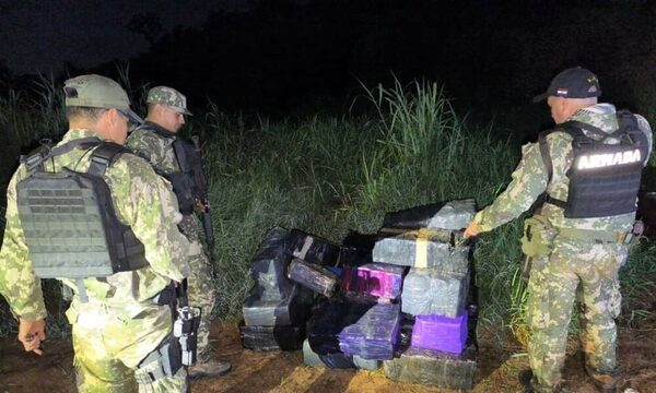 Incautan supuesta marihuana en el Este