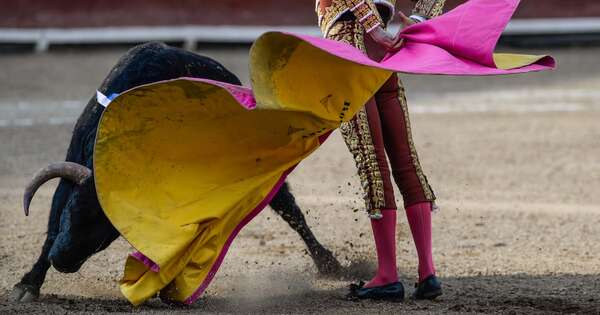 Diario HOY | Petro sanciona ley que prohíbe las corridas de toros en Colombia