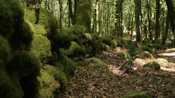 Descubierta en Italia una muralla de 3 kilómetros de tiempos de la rebelión de Espartaco