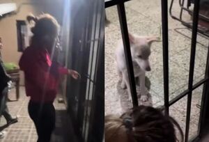 El perro puso la traba en la puerta y quedó con sus ocho alumnos encerrada en el patio de la casa - Megacadena - Diario Digital