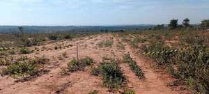 Explosivistas del CODI detonan pista clandestina hallada en Yby Pytá - Nacionales - ABC Color