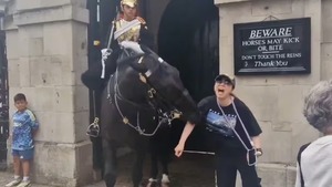 Londres: turista fue mordida por un caballo de la Guardia Real - Unicanal