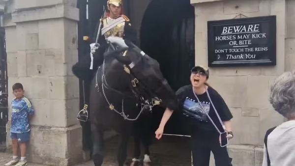 Londres: turista fue mordida por un caballo de la Guardia Real - Unicanal