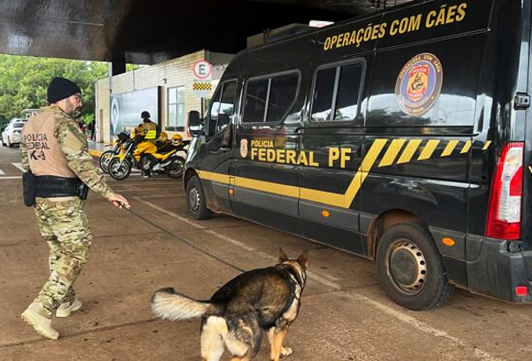Dos perros rastreadores se suman a controles fronterizos - La Clave