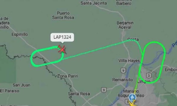 Otro vuelo afectado por impacto de aves al despegar en el Silvio Pettirossi – Prensa 5