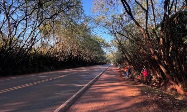 Limpian y hermosean túnel verde de Santa Rita