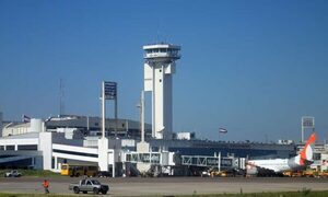 Cetrería volverá al aeropuerto desde agosto y evitará accidentes con aves