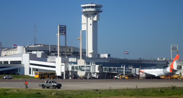 Cetrería volverá al aeropuerto desde agosto y evitará accidentes con aves