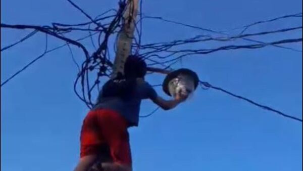 Robó foco de alumbrado y vecinos le obligaron a colocarlo de vuelta