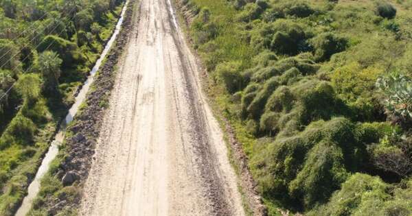 La Nación / Habilitación de la ruta PY12 apunta a reactivar zona productiva del Chaco