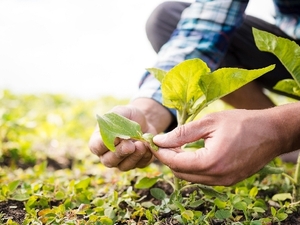 Paraguay desarrolla su primera taxonomía verde para impulsar inversiones sostenibles - MarketData