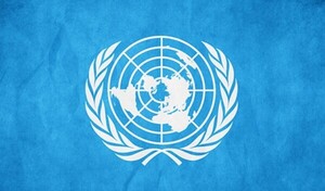 ONU insta a Paraguay a reconsiderar ley que afecta a organizaciones sin fines de lucro - El Trueno