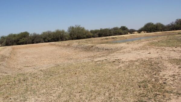 Bajo Chaco: Indígenas piden auxilio humanitario ante crisis por falta de agua
