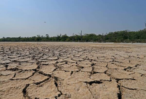 Indígenas del Bajo Chaco piden auxilio humanitario al Estado ante una sequía crítica