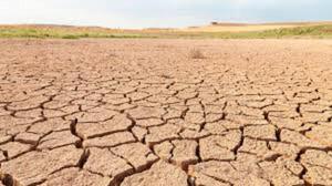 La sequía empieza a ser severa en varias regiones del Chaco
