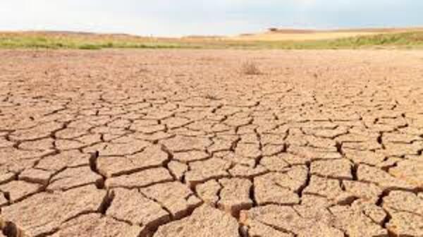 La sequía empieza a ser severa en varias regiones del Chaco