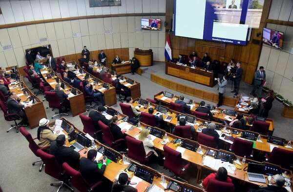 Duros cuestionamientos de relatoras de ONU a proyecto de control de ONG - Política - ABC Color